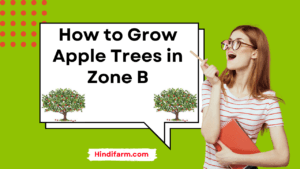 Read more about the article How to Grow Apple Trees in Zone B