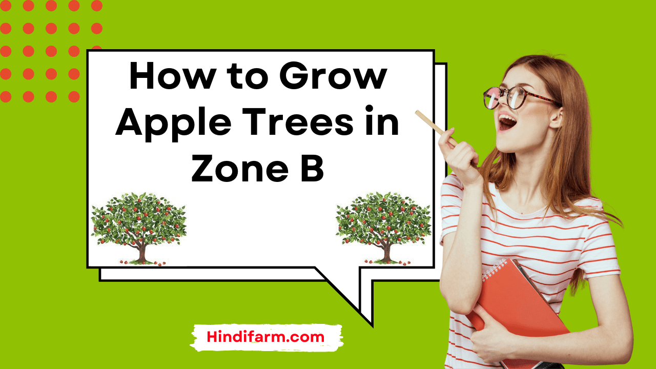 You are currently viewing How to Grow Apple Trees in Zone B