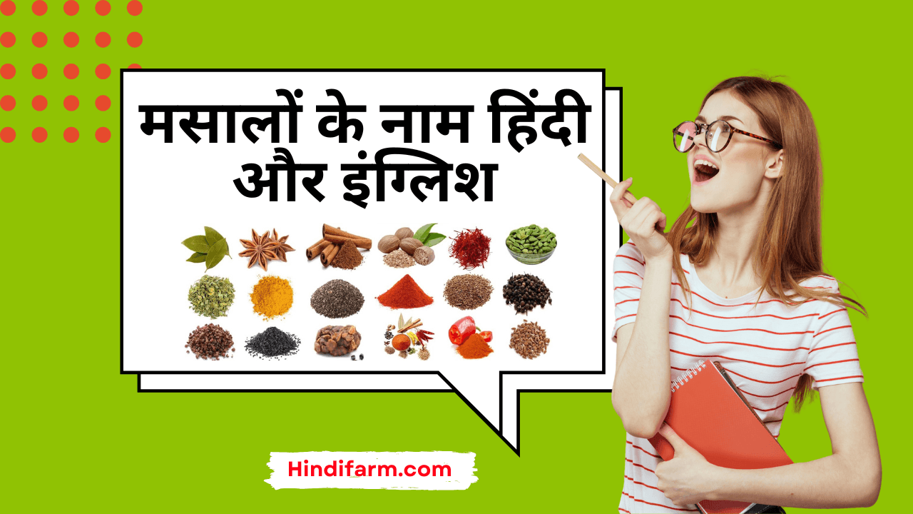 You are currently viewing Masalon ke Naam English Mein | मसालों के नाम हिंदी और इंग्लिश में