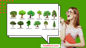 Read more about the article Trees Name in Hindi​ || 100 पेड़ों के नाम