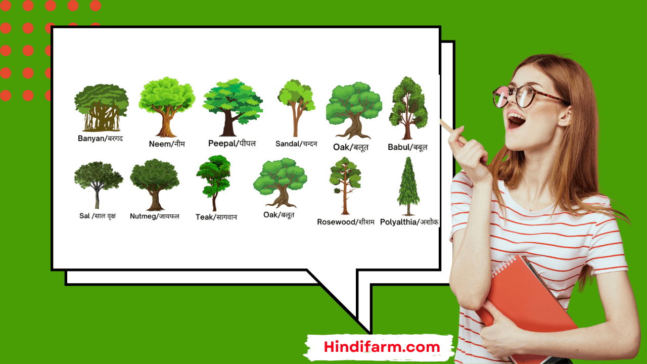 You are currently viewing Trees Name in Hindi​ || 100 पेड़ों के नाम