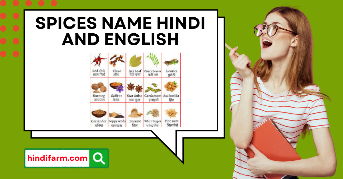 You are currently viewing Spices Name in Hindi | Spices Name Hindi and English